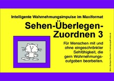 Sehen-Überlegen-Zuordnen 3.pdf